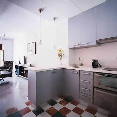 Atico Con Terraza Privada Cerca De La Catedral Apartment Seville