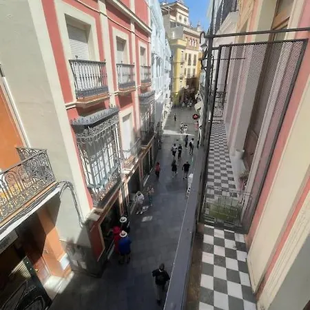 Atico Con Terraza Privada Cerca De La Catedral